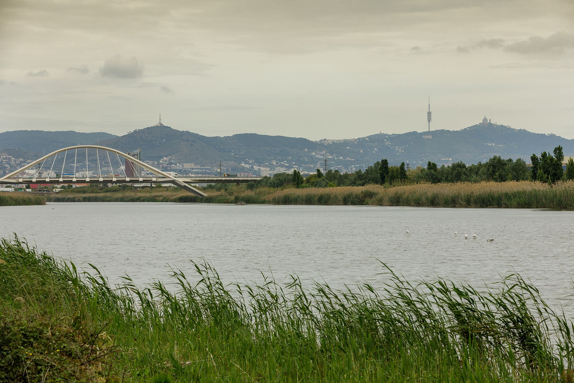 Mantenimiento del caudal del río Llobregat con agua regenerada