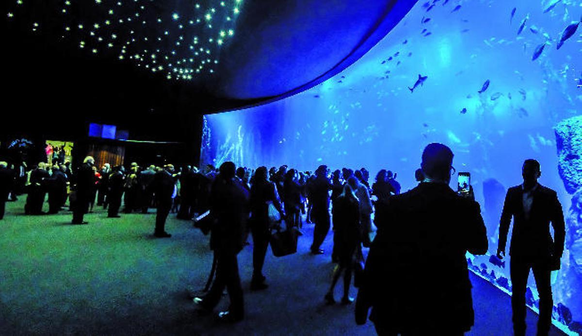 El Acuario descubre la belleza del mar