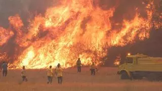 20 años del incendio forestal que arrasó el cámping La Tatgera de Talamanca