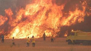Bomberos en los trabajos de extinción del incendio de Talamanca, en 2015.