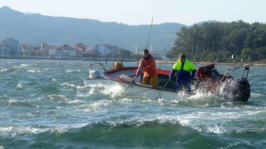 &quot;Rañeiros&quot; en los bancos de libre marisqueo de Os Lombos do Ulla, en la desembocadura del río. // Noé Parga