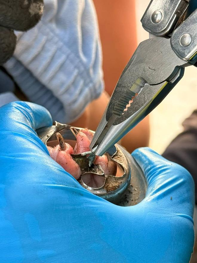 Rescate de la pata de un gato atrapada en una tubería en Arinaga, en el sureste de Gran Canaria