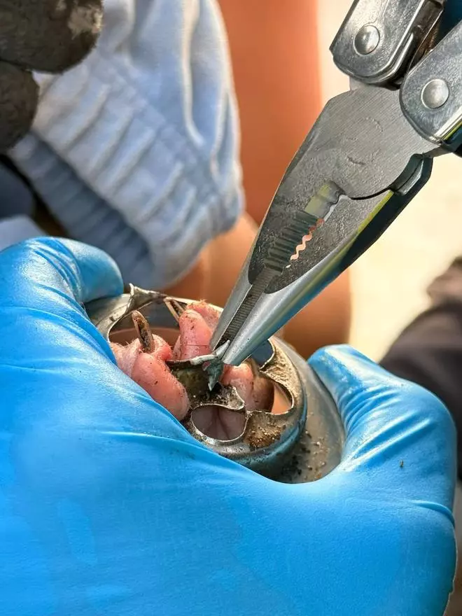 Rescate de la pata de un gato atrapada en una tubería en Arinaga, en el sureste de Gran Canaria
