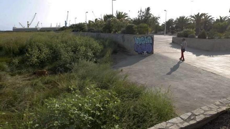 La vegetación llena la salida de agua al mar a la altura de Camp de Morvedre.