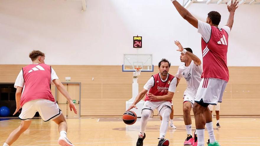 El Real Madrid y el Breogán se miden en Pontevedra