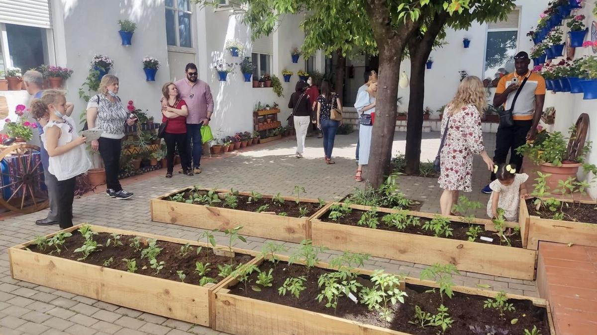 Un rincón del patio del CEIP López Diéguez, en el barrio de San Andrés.