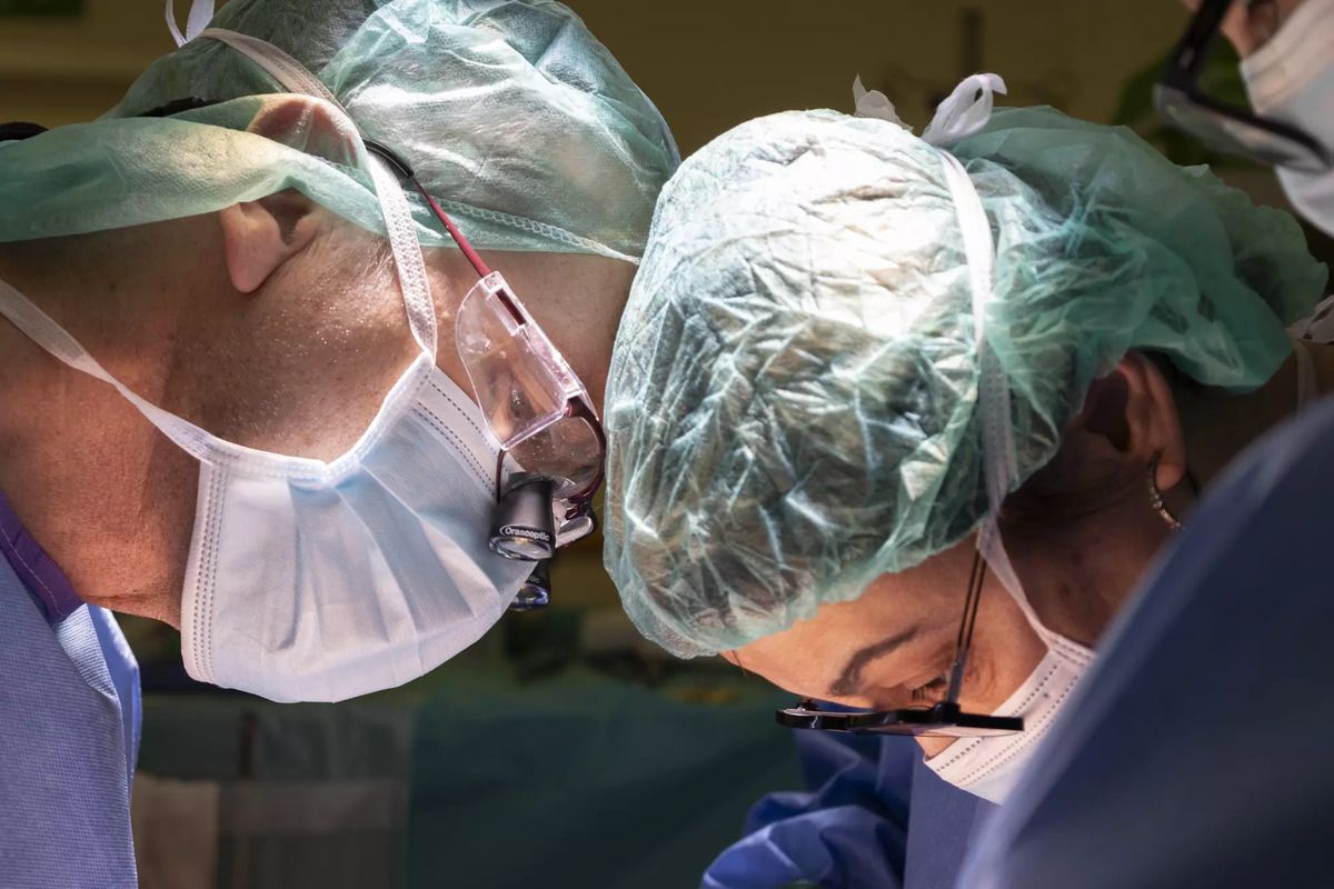 Reconstrucción del tumor de páncreas en tres dimensiones