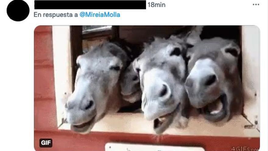 Comentario en las redes sociales de Mireia Mollà.