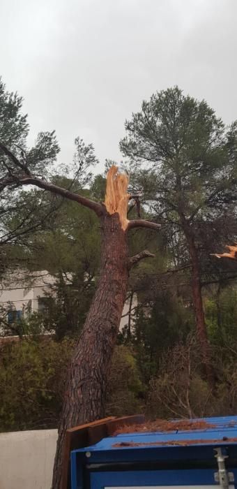 Temporal en Sant Antoni