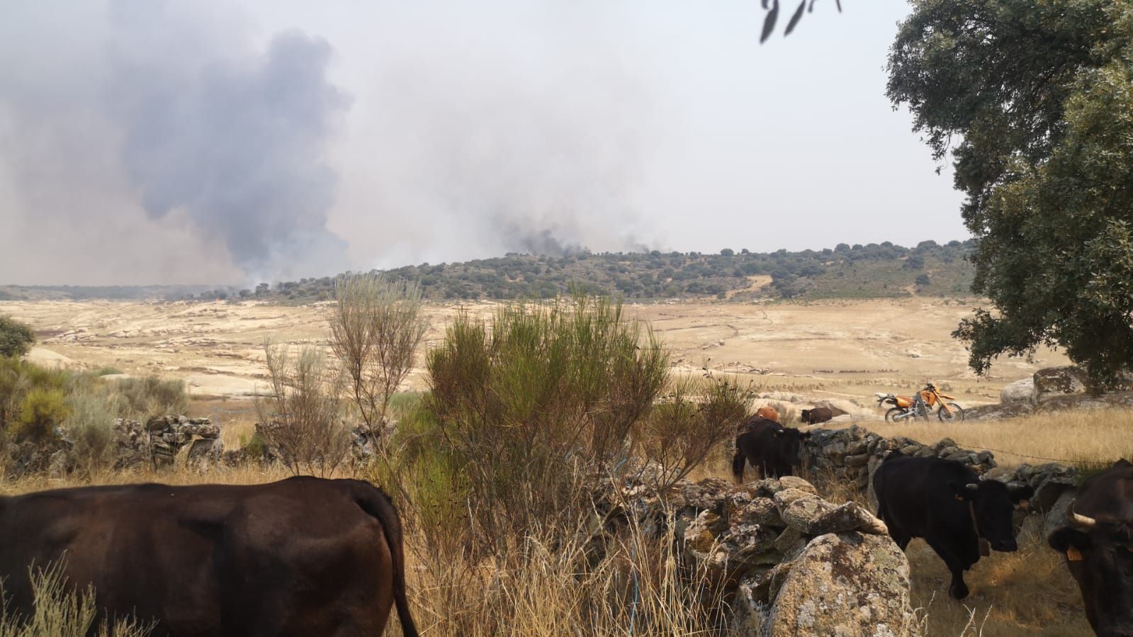 GALERÍA | Incendio en Roelos de Sayago