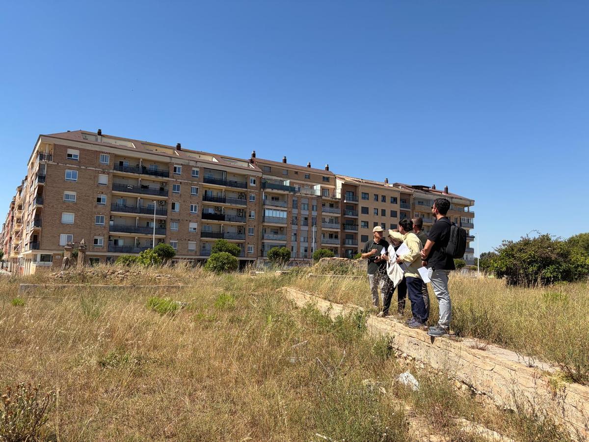 La visita a la parcela que ocupa la Villa Romana.