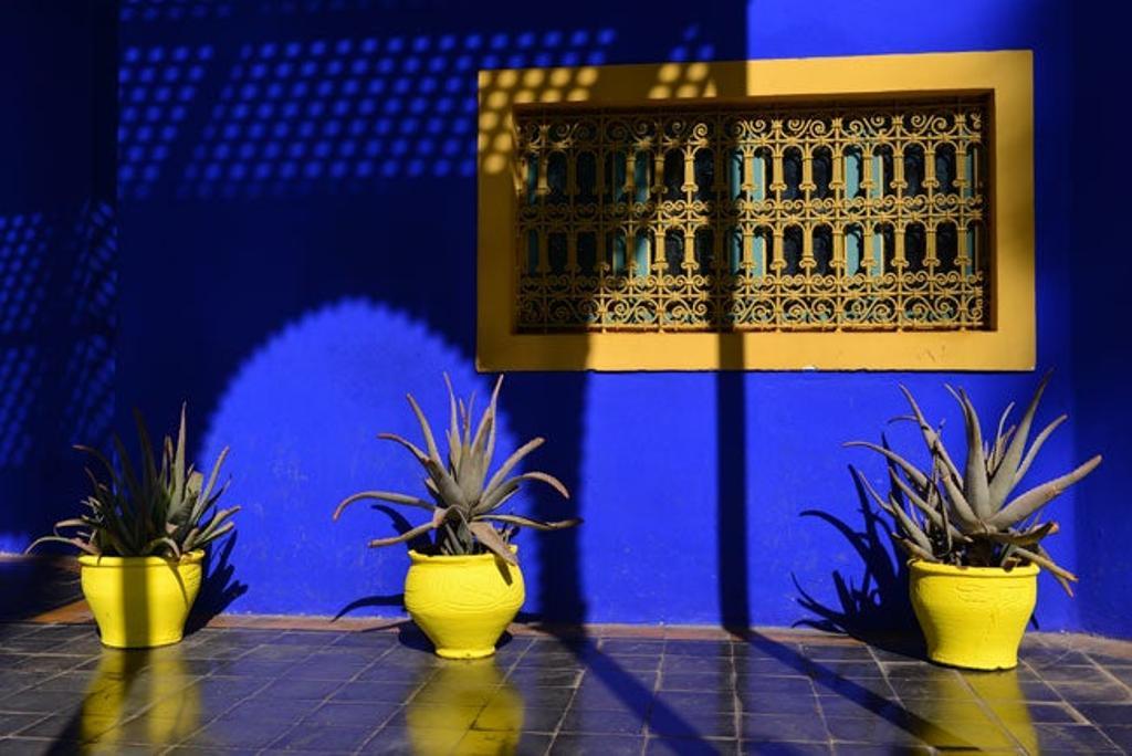 Jardines Majorelle