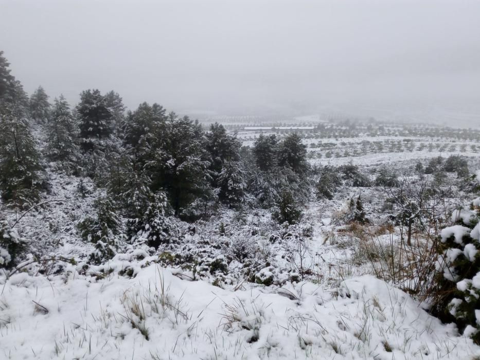 Marzo termina con nieve en Aras de los Olmos