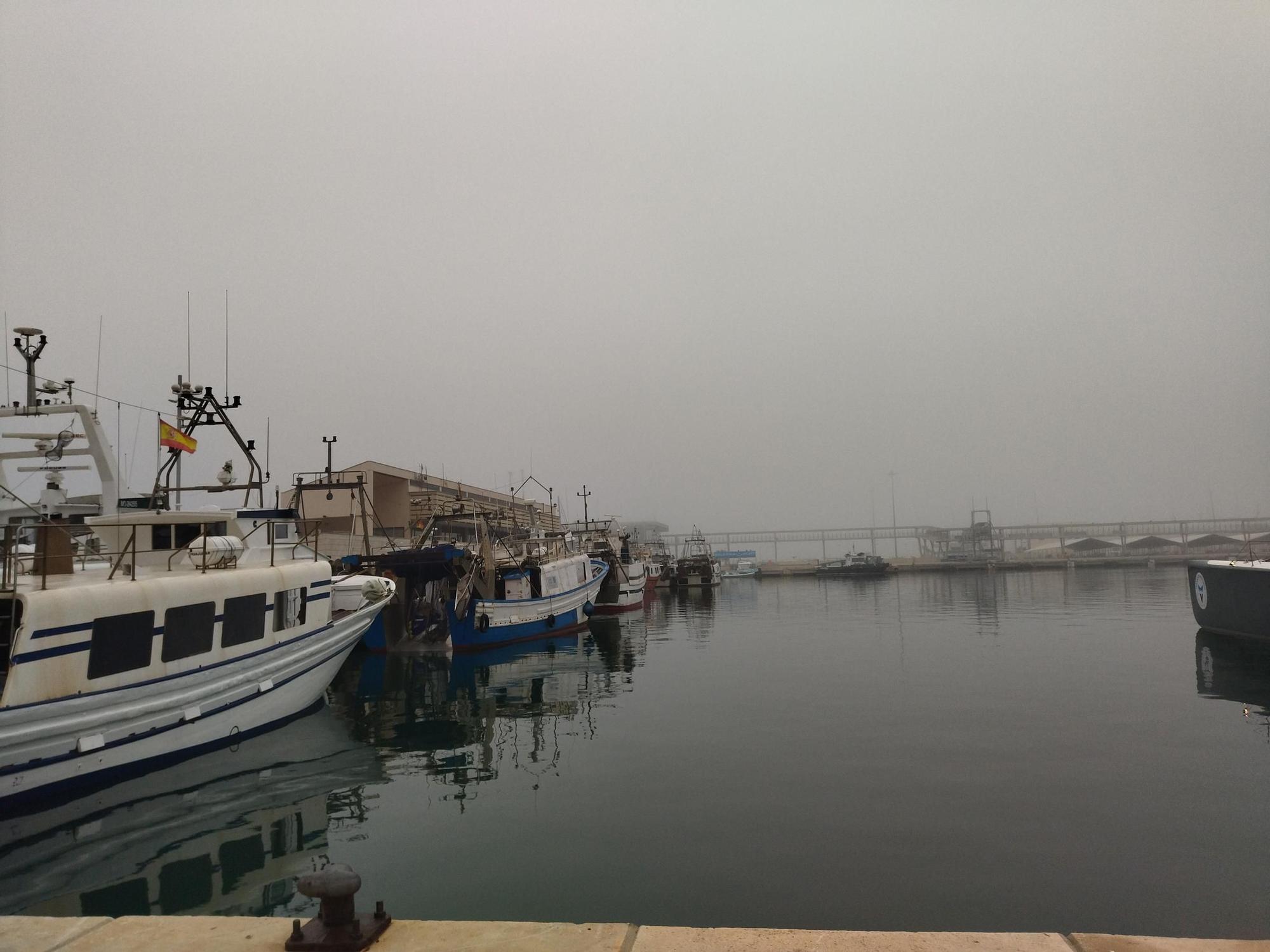 La bruma fallera en Dénia (imágenes)