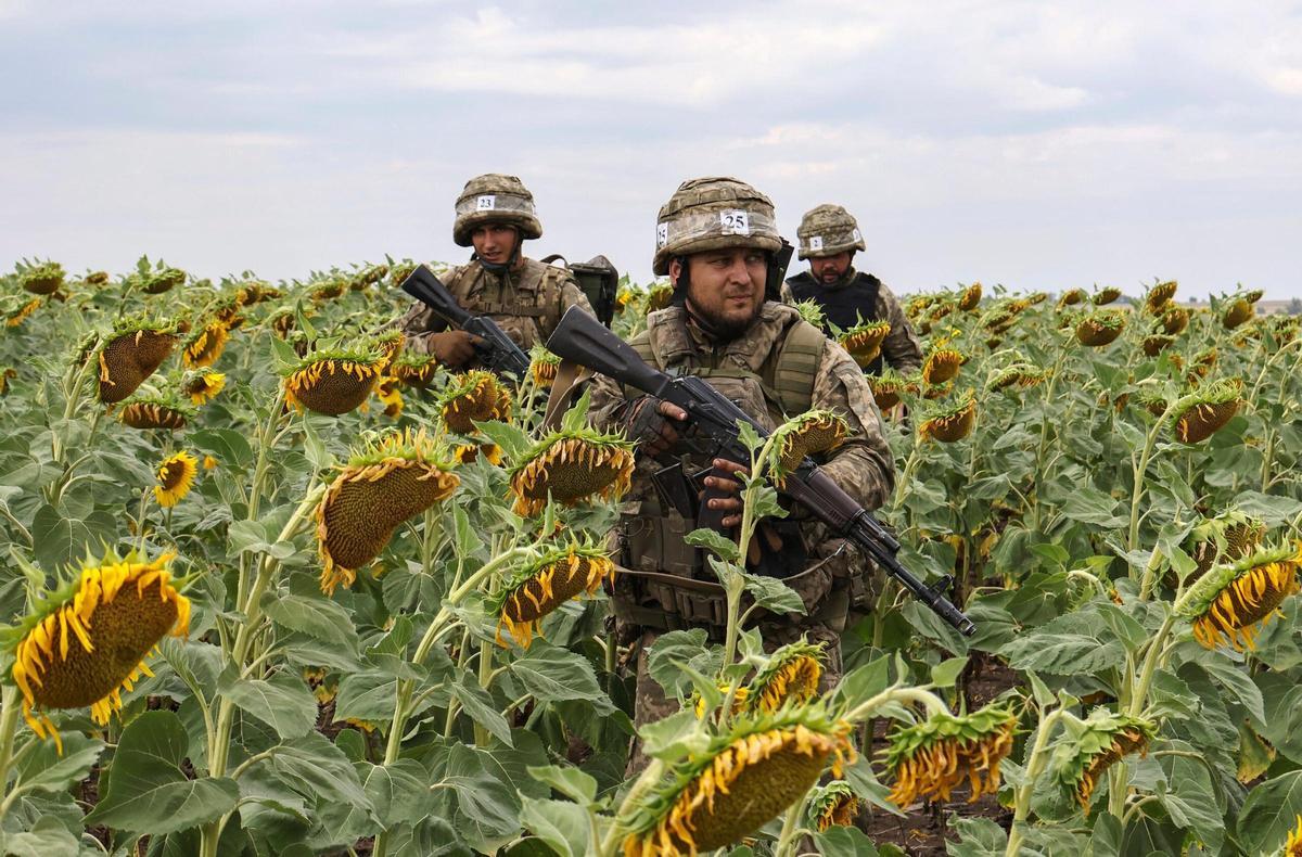 Reclutas ucranianos reciben entrenamiento militar en un campo de girasoles en la región de Zaporiyia.
