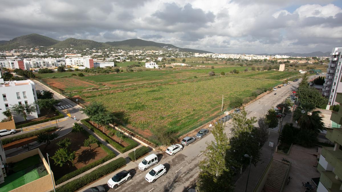 El terreno, junto a la urbanización de Can Raspalls, donde se proyecta construir las viviendas de los residentes de los Don Pepe.