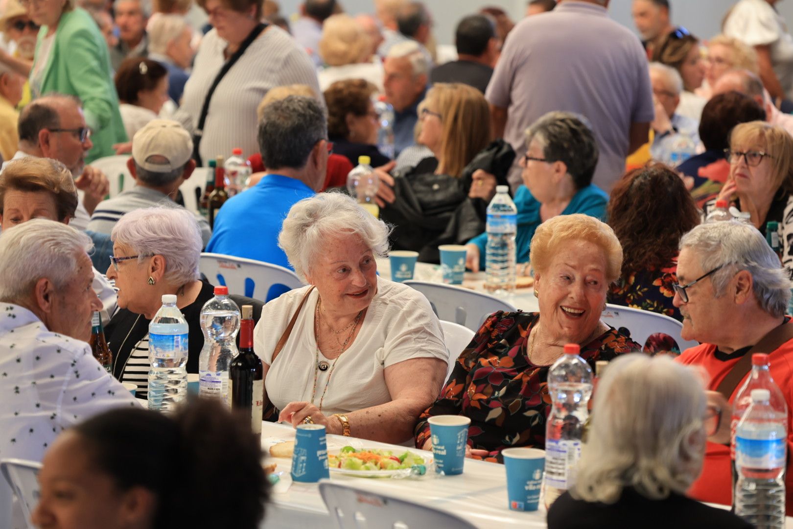FOTOGALERÍA I Las imágenes de la sexta jornada (miércoles) de las fiestas patronales de Sant Pasqual en Vila-real