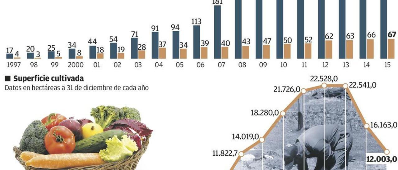 El gasto en alimentos ecológicos crece un 25% y mueve ya 7 millones de euros