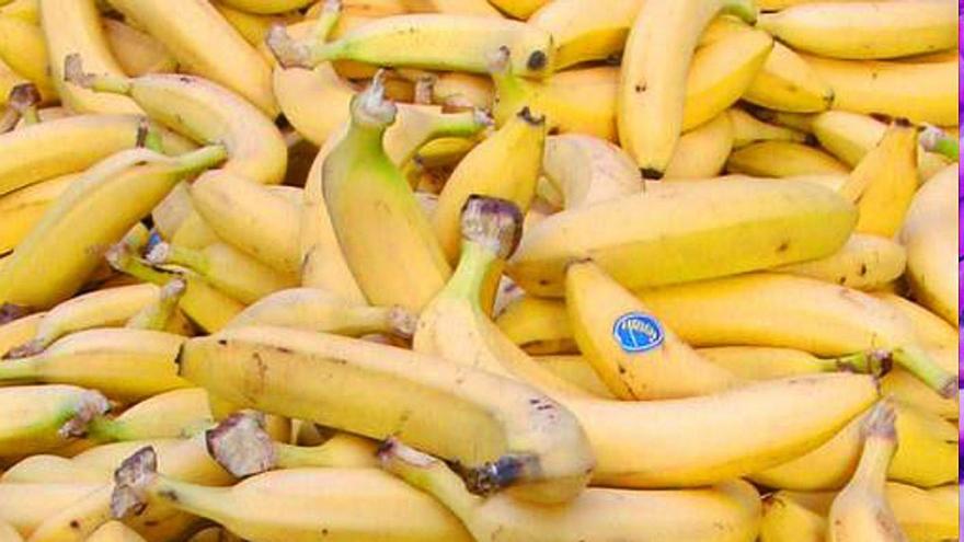 Plátanos de Canarias en una imagen de archivo.