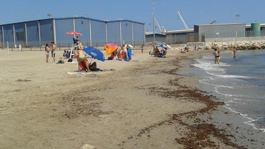 Gandia abrirá al baño la playa de Venecia en dos o tres días