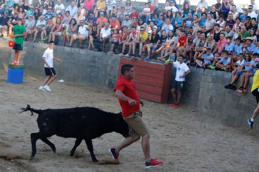 Fiestas en Zamora: Gran prix en Coreses