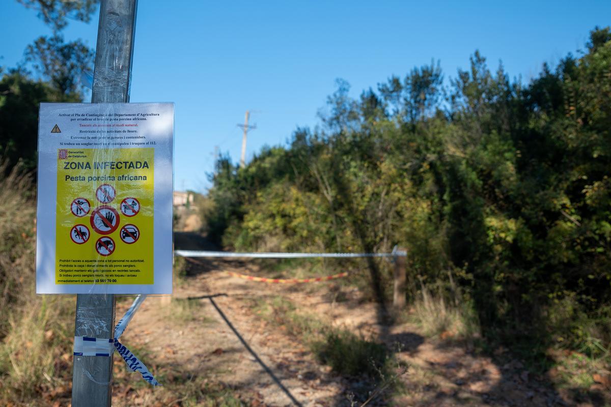 La UME se despliega para contener el brote de peste porcina