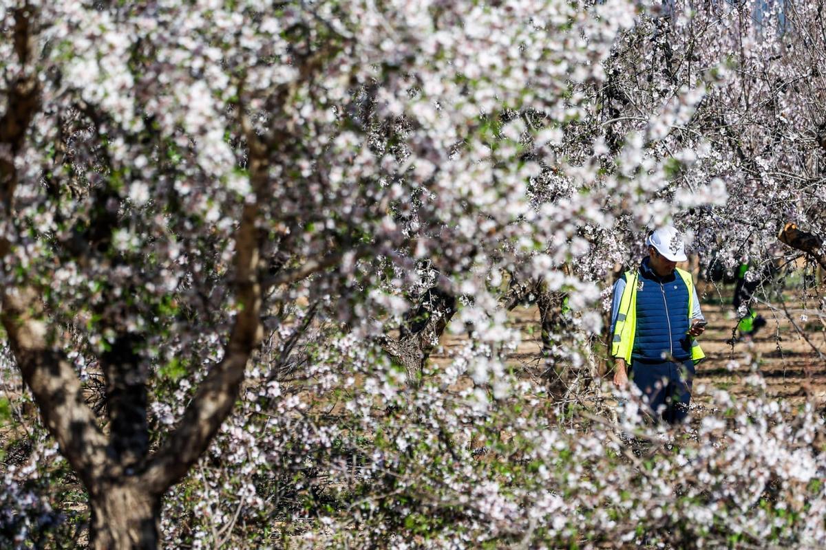 Protesta contra la planta de biometano de Llíria por el inicio de las obras