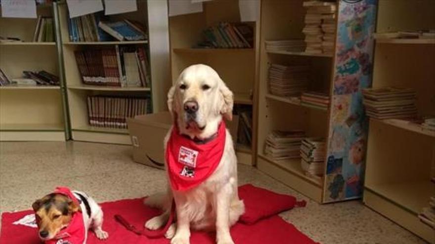 El colegio impulsa la ‘lectura con perros’