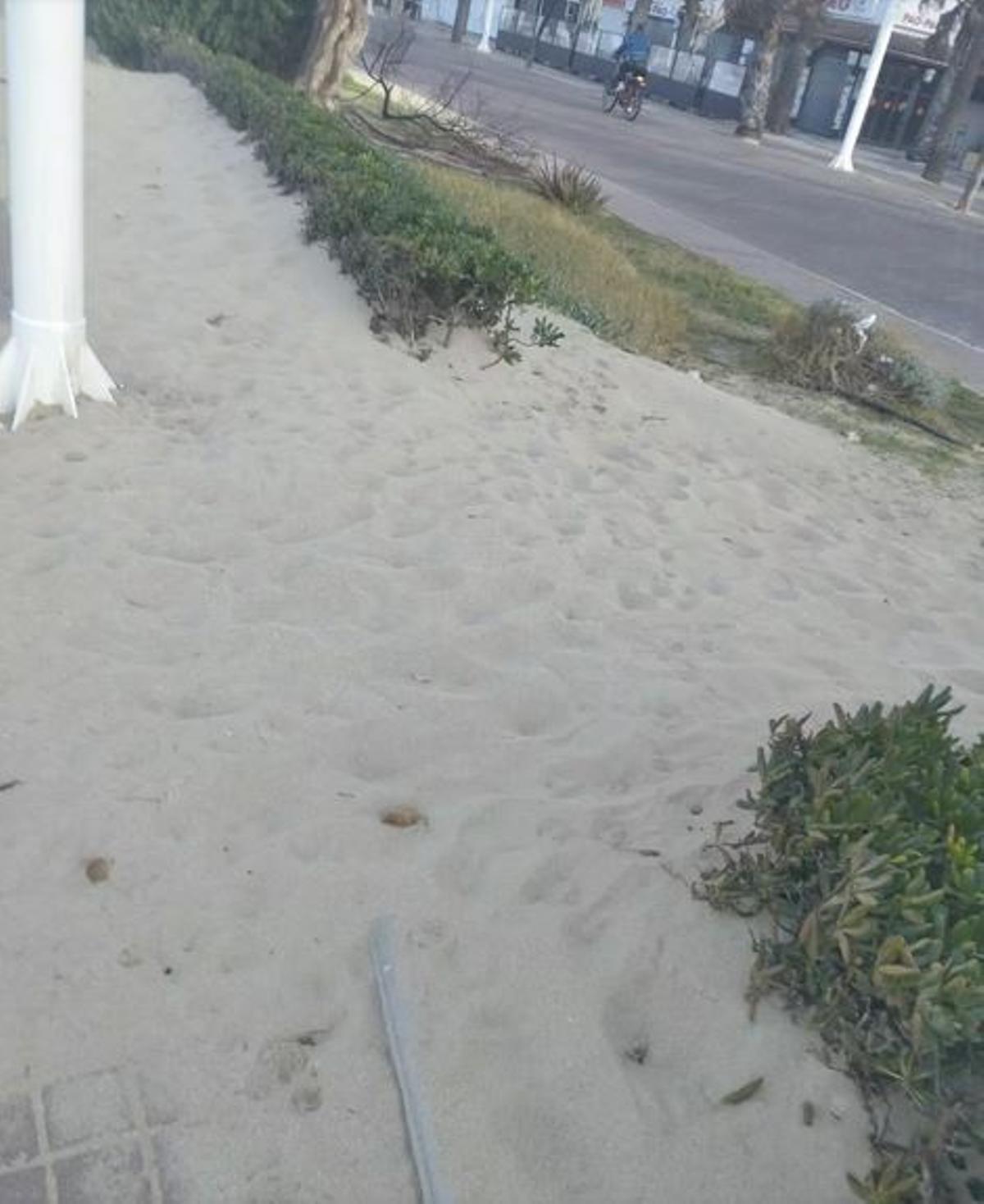 Gehweg und Grünflächen verschwinden unter dem Sand