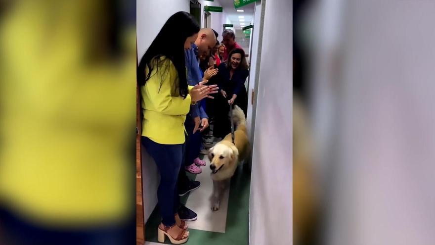 Despedida entre aplausos para un perro que sobrevivió a tres disparos