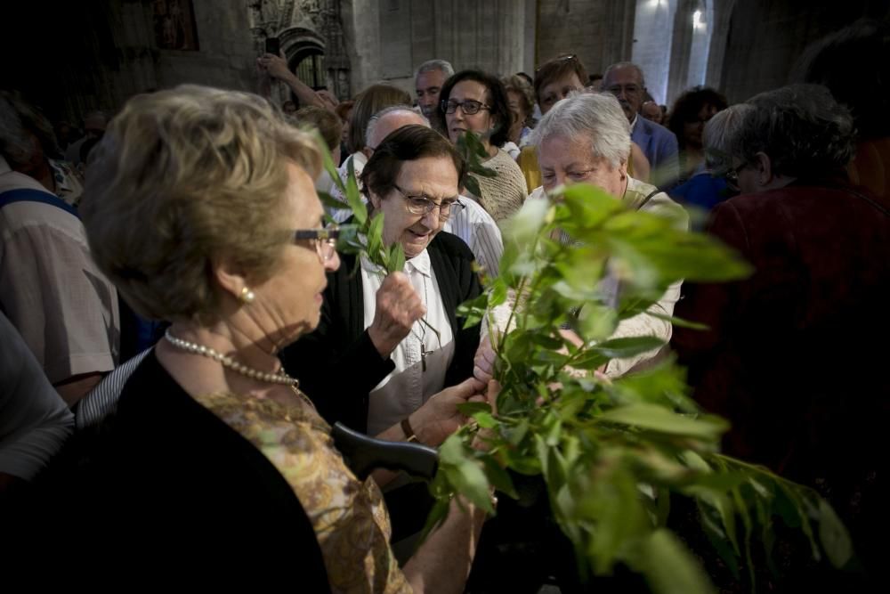 Fiesta de San Salvador en la Catedral