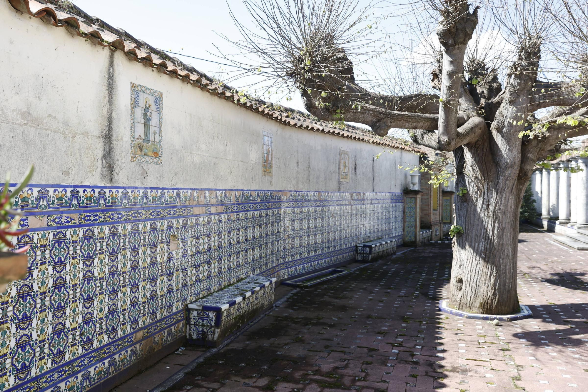 Puertas abiertas en la finca Solavieya