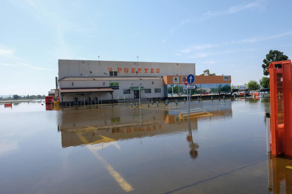 La peor parte de las consecuencias de la DANA se la llevan las hortalizas