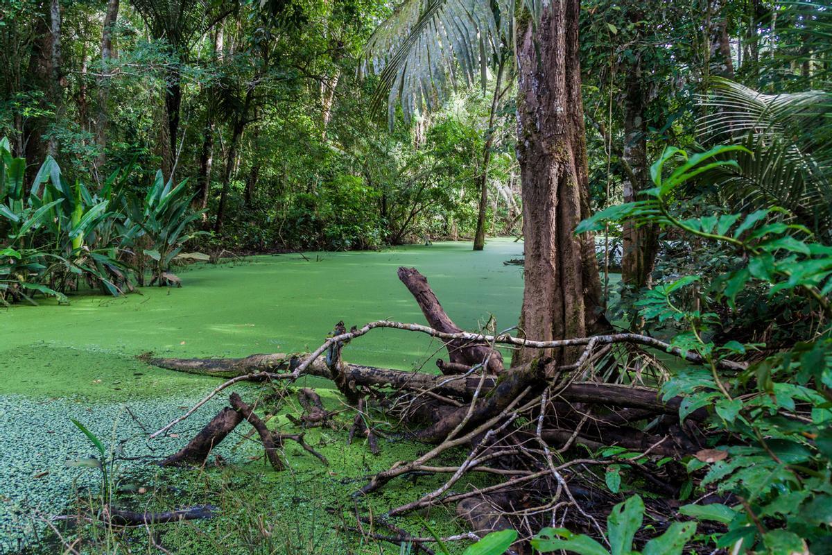 Río en mitad del parque Nacional Madidi