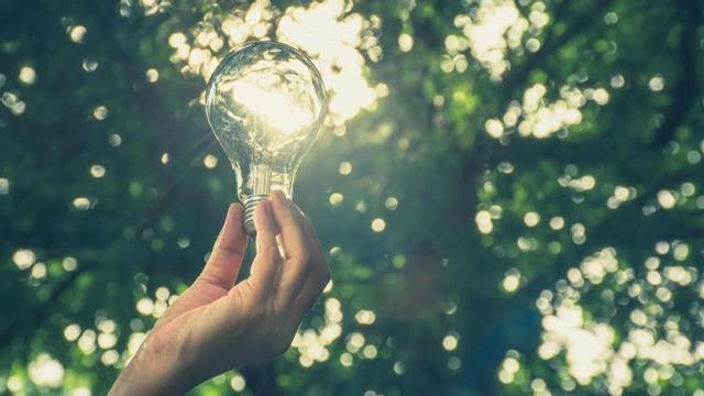 Lucha contra el cambio climático: las empresas tienen la llave.