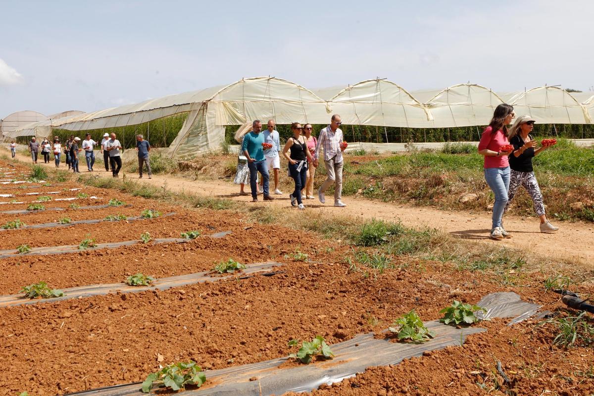 Visita guiada a la finca hortícola de Can Pol en Ibiza