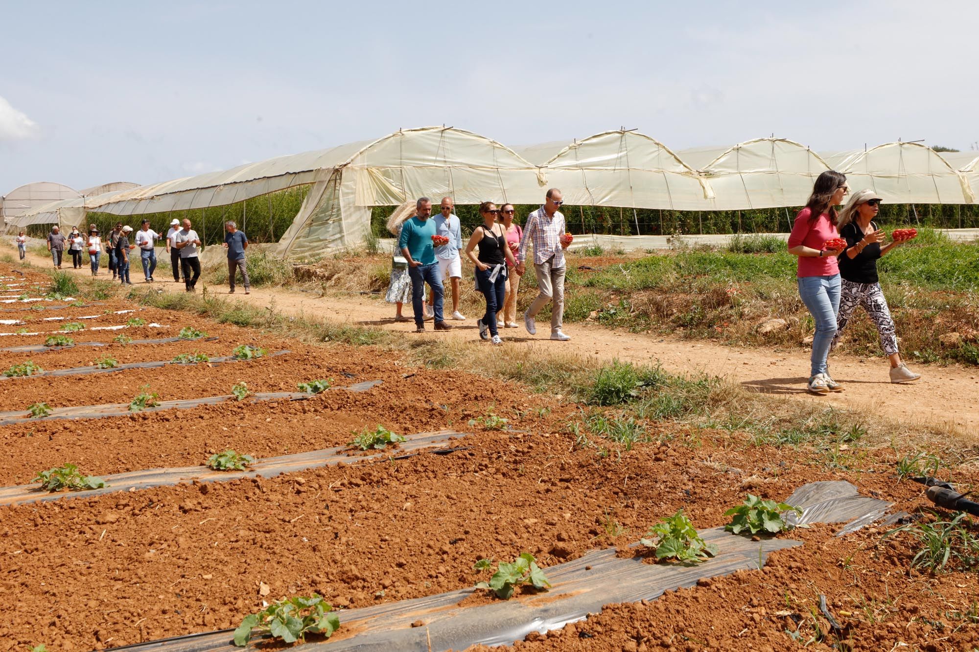 Visita guiada a la finca hortícola de Can Pol en Ibiza