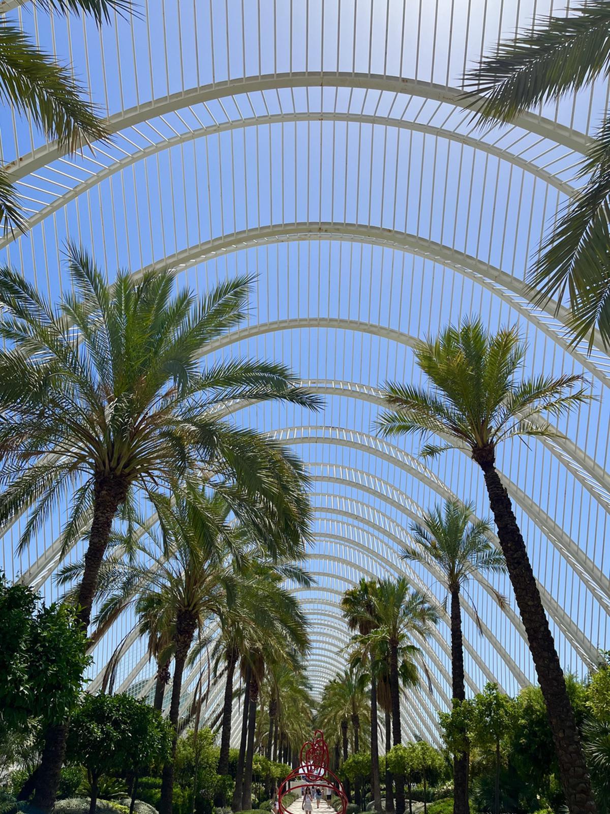 El Umbracle, Valencia España
