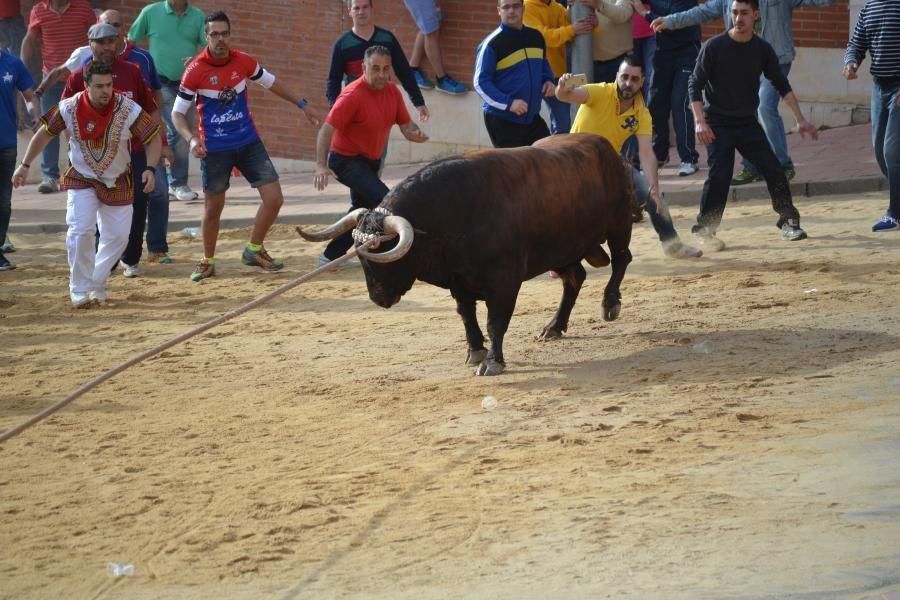 Enmaromado 2016: Así fue el Día Grande en Benavent