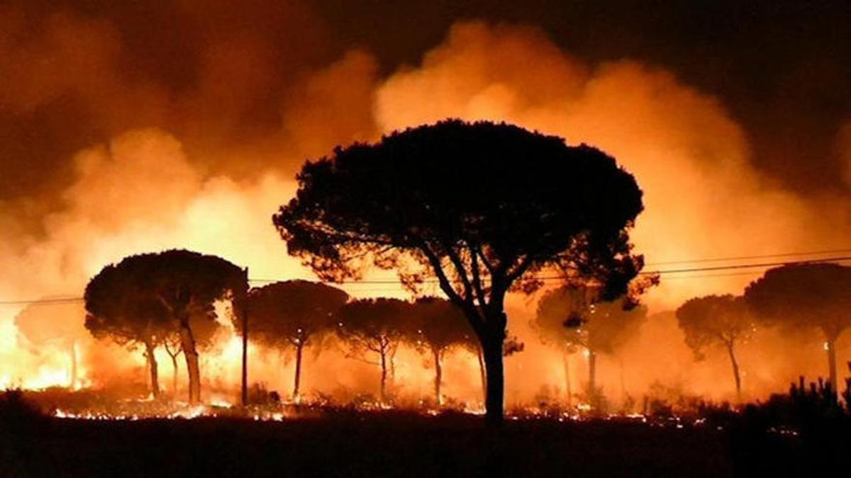 Incendio en el paraje La Peñuela de Moguer (Huelva) y se adentró de lleno en Doñana.