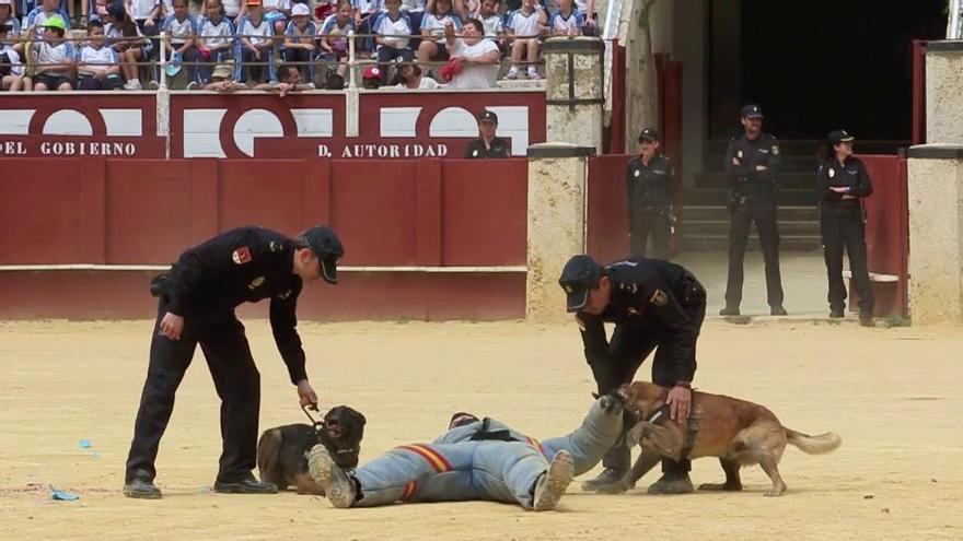 Exhibición de la Policía Nacional en La Malagueta