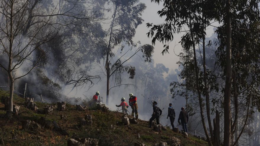 EN IMÁGENES | El fuego llega a Oviedo