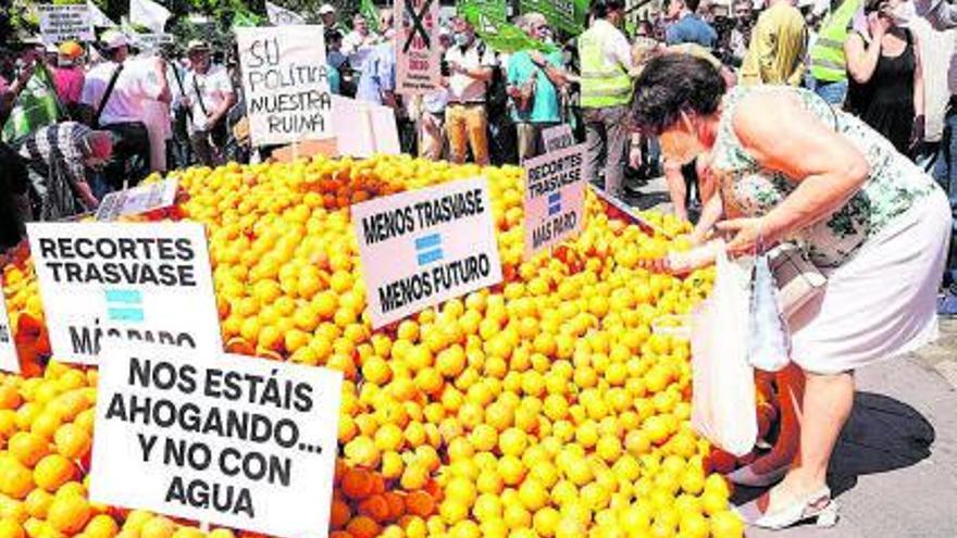 Una dona recull
taronges regalades
a Alacant. ÁXEL ÁLVAREZ