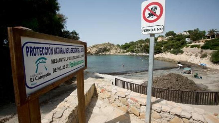 La cala d&#039;Enmig tras la limpieza de las algas en julio.