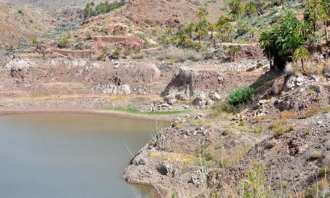 PALMERALES PRESA SORRUEDA SANTA LUCIA