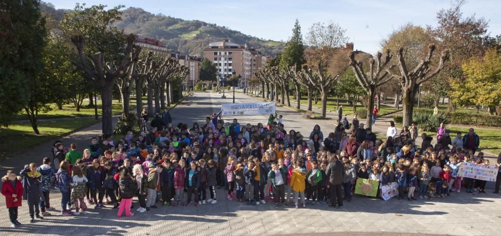 Marcha por la salud en El Entrego