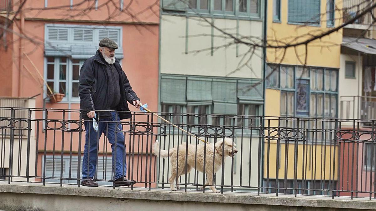 Un veí de Girona passejant el seu gos en una imatge d’arxiu. | MARC MARTÍ