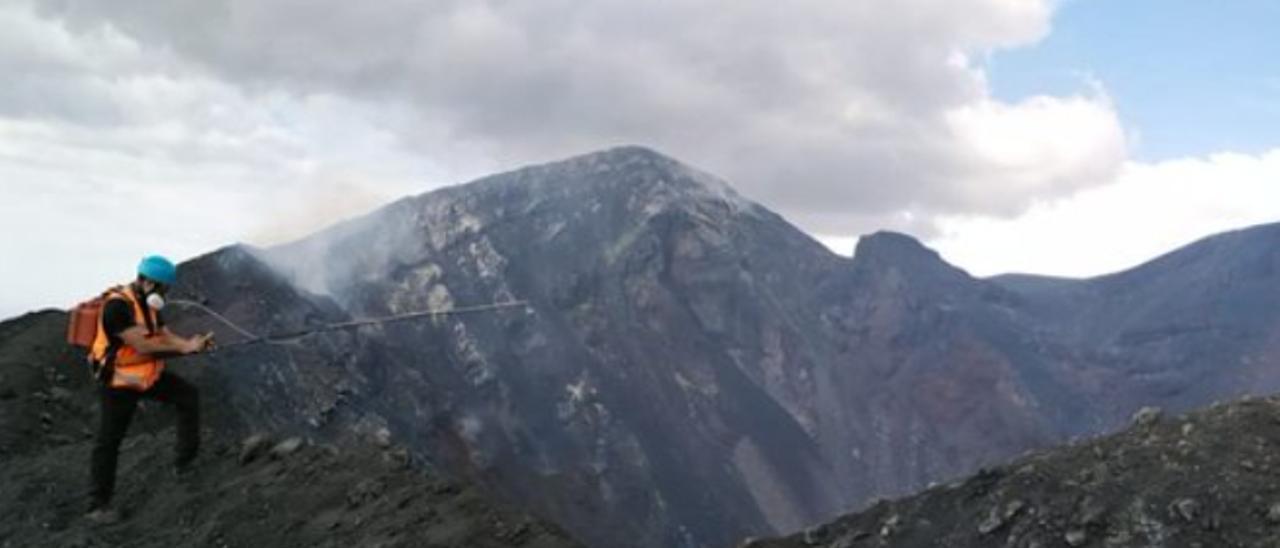 Zona más elevada del edificio volcánico de La Palma.