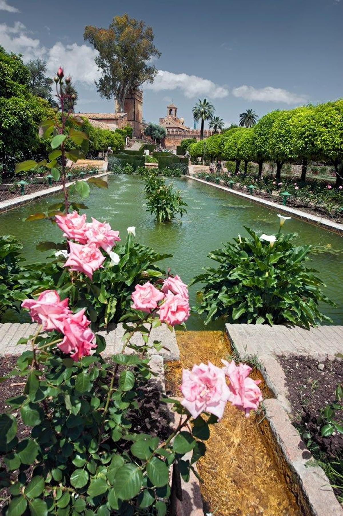 Córdoba es una de las paradas de este mítico tren.
