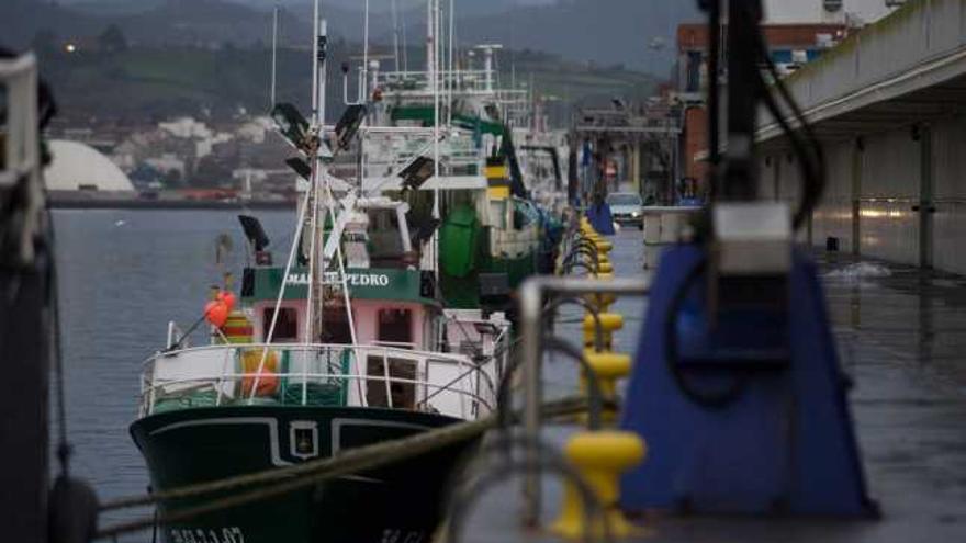 Barcos pesqueros amarrados en el puerto de Avilés. | ricardo solís